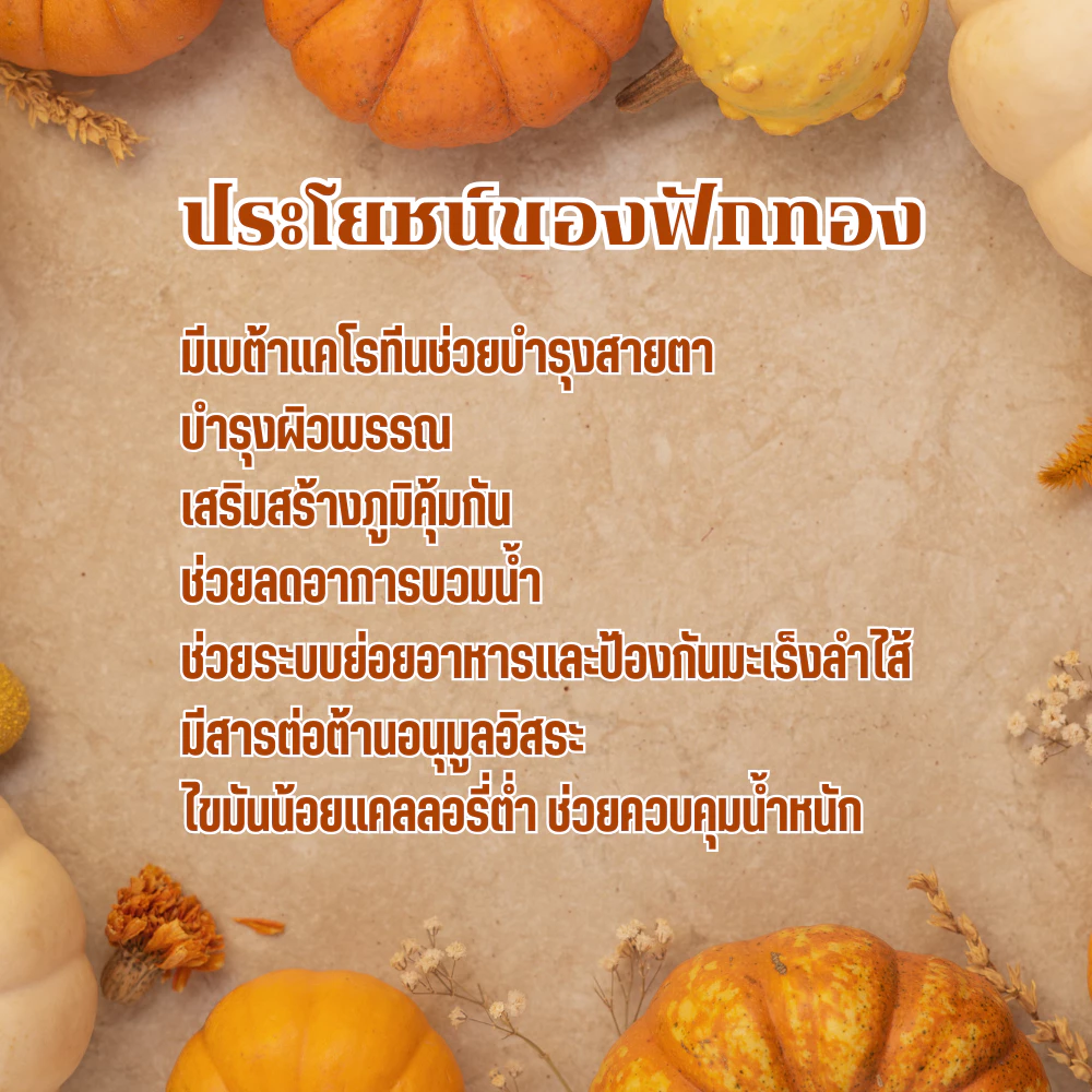 ผงฟักทองแท้ 100% Pure Pumpkin Powder ตราดอยอ่างขาง สกัดธรรมชาติ ไม่มีน้ำตาล No Sugar ไม่มีสารกันเสีย ผงละเอียด ละลายไว ทำลาเต้ฟักทอง Pumpkin Latte กาแฟฟักทอง ชานม เค้ก Pumpkin Cake คุกกี้ ขนมปัง อย. ร้านกาแฟ Cafe เบเกอรี่ Bakery