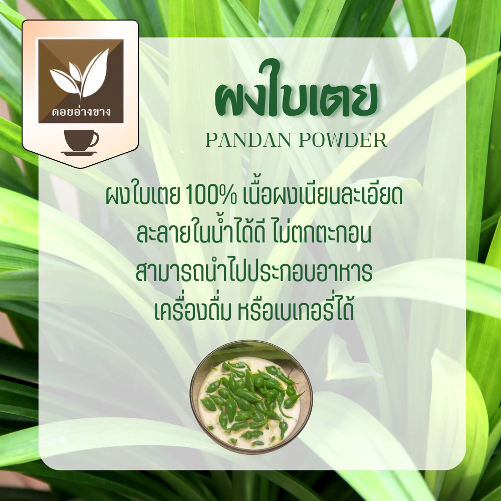 ใบเตย ผงใบเตย 100% ใบเตยผง ผงใบเตยสกัด Pandan leaf extract powder หอมกลิ่นใบเตยแท้ ปราศจากน้ำตาล เหมาะสำหรับผู้รักสุขภาพและควบคุมน้ำหนัก ละลายน้ำได้ง่าย ไม่มีตะกอน ใช้งานสะดวก เหมาะกับการนำไปปรุงแต่งเมนูอาหาร เครื่องดื่ม และเบเกอรี่หลากหลายชนิด