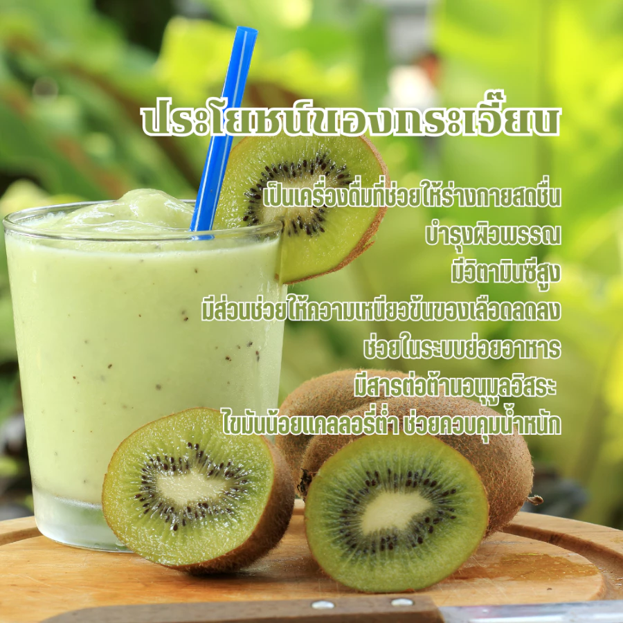 กีวีผงสกัด Spray Dry ขนาด 100 กรัม ผงกีวีคุณภาพสูง Pure Dried Kiwi Powder Spray Dry - 100g ละลายได้อย่างง่ายดายในน้ำอุ่นและน้ำเย็น โดยไม่ทิ้งตะกอนตกค้าง เหมาะสำหรับการทำเครื่องดื่มและเบเกอรี่มากมาย ปราศจากนมและน้ำตาล