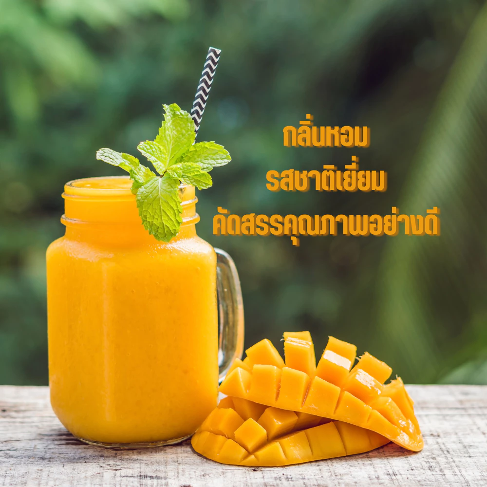 ผงมะม่วงสกัด Spray Dry ขนาด 100 กรัม มี อย. ไม่ใส่นม ไม่มีน้ำตาล มะม่วงผง ไม่มีตะกอนตกค้าง ผงมะม่วงเหมาะสำหรับทำเครื่องดื่ม และเบเกอรี่ Mango Extract Powder (100g) 100% mango powder Size: 100 grams Registered with FDA No added milk or sugar