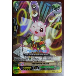 บรอดแคสต์แรบบิท ฮิลฟอย