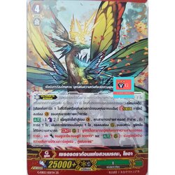 ไม่ฟอย zr เซรอทดราก้อนแห่งสวนมรณะ โซอา