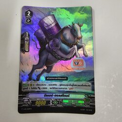 บีเกอร์ฮอลสไตนด์ ฟอย