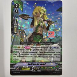 ฟอย v-pr ฮอทีคัลเจอร์เอลฟ์