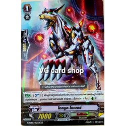 โกลบูล โดเบอร์