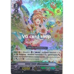 ฟอยเมเดนออฟเพียวแสปลช