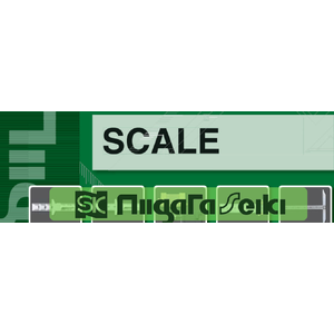 สเกลวัด,ไม้บรรทัดสเกล(Scale)/NIIGATA SEIKI(SK)