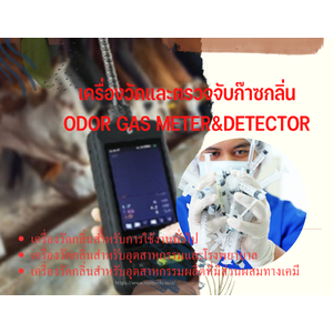เครื่องวัดตรวจจับกลิ่น(Odor Gas Meter&Detector)