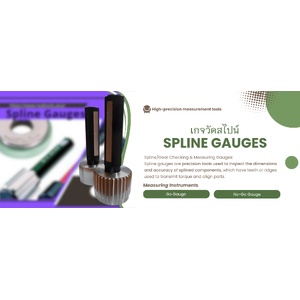 เกจวัดสไปน์(Spline Gauges)