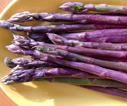 หน่อไม้ฝรั่งสีม่วง - Purple Passion Asparagus