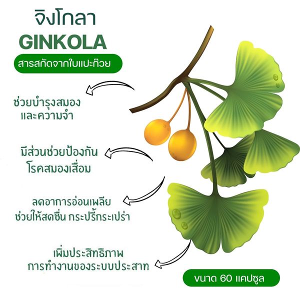 Giffarine จิงโกลา แปะก๊วย กิฟฟารีน