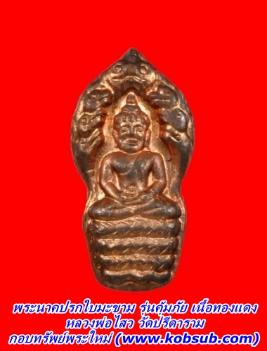 พระนาคปรกใบมะขาม รุ่นคุ้มภัย เนื้อทองแดง หลวงพ่อไสว วัดปรีดาราม