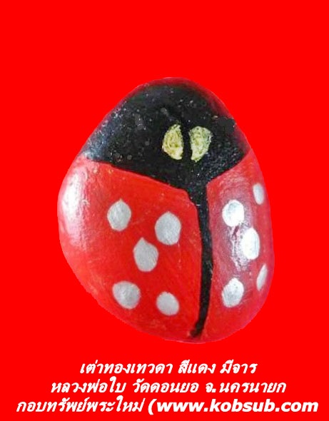 เต่าทองเทวดา เนื้อหินแม่น้ำโขง สีเงิน หลวงพ่อใบ วัดดอนยอ