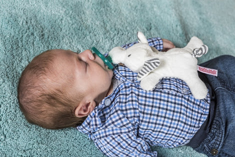 WubbaNub Pacifier - Afrique Elephant ตุ๊กตาจุกหลอก ช้างน้อย