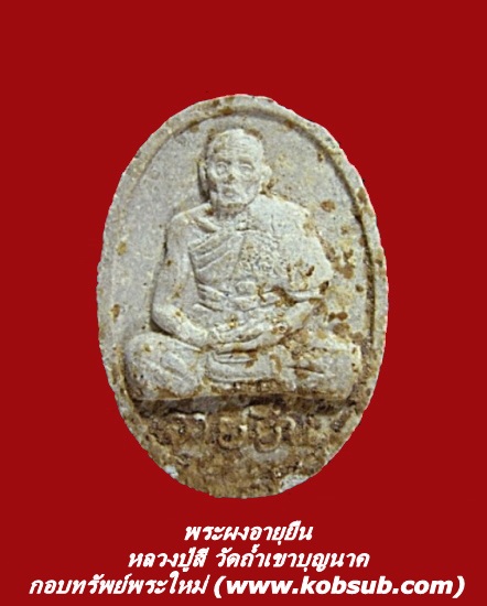 พระผงอายุยืน หลวงปู่สี วัดถ้ำเขาบุญนาค