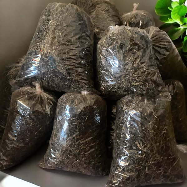 ชาอัสสัม Handmade (แฮนด์เมด) ขนาด 500 กรัม ชาดอยลาง ชาป่าเติบโตตามธรรมชาติ สินค้ามีจำนวนจำกัด !! ชาดำอัสสัม (ใบชาอบแห้ง) จากดอยลาง ASSAM TEA 500 g. ชาออแกร์นิค Doilang Tea กลิ่นหอม รสชาติดี ชาจากธรรมชาติ ของดีในราคามิตรภาพ ใบชาเส้น