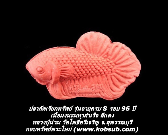 ปลากัดเรียกทรัพย์ รุ่นอายุครบ 8 รอบ 96 ปี เนื้อผงนะมหาสำเร็จ สีแดง หลวงปู่น่วม วัดโพธิ์ศรีเจริญ