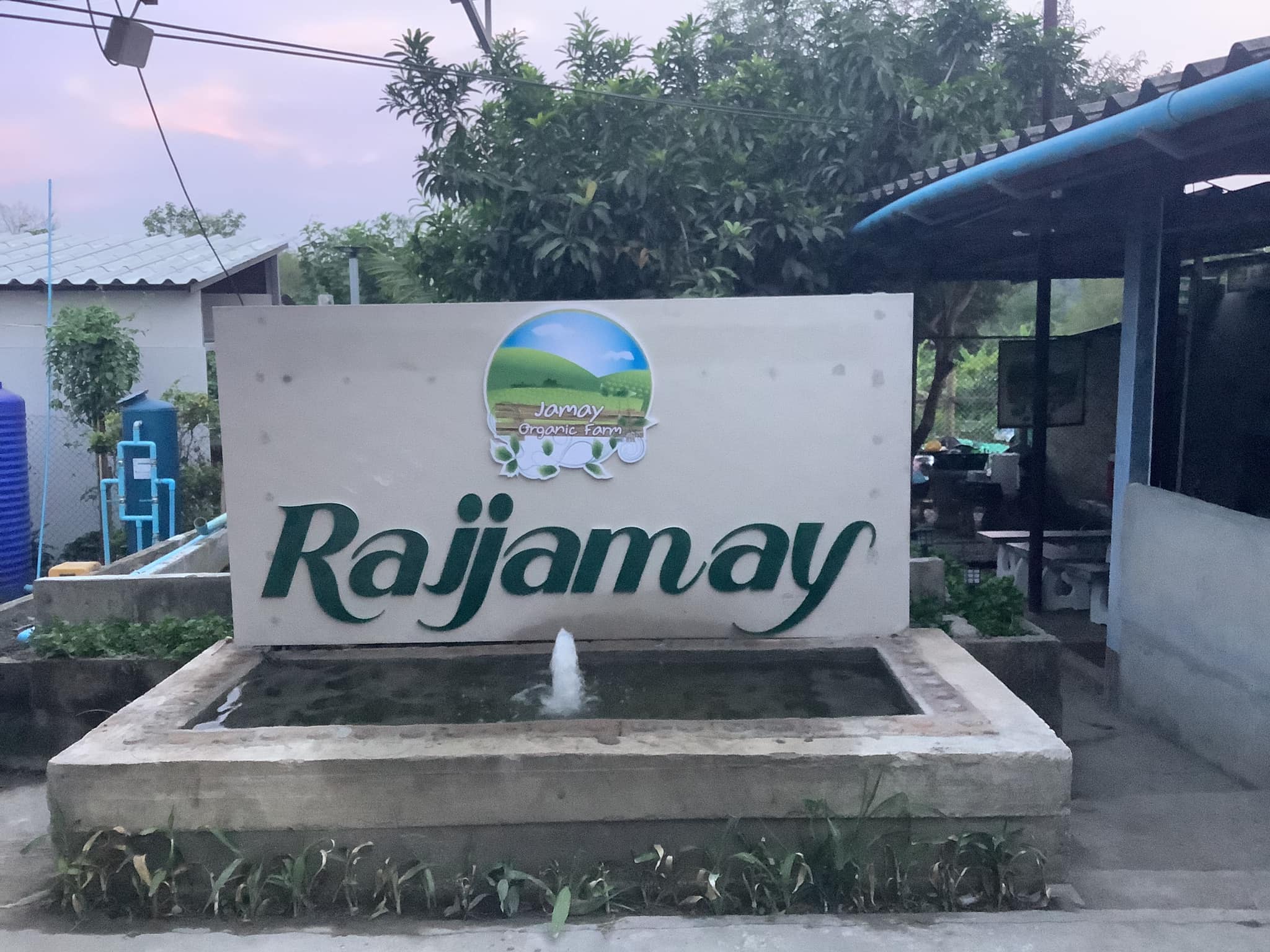 เชียงดา 100% จากเชียงใหม่ เชียงบด ผงเชียงดา ขนาด 1 กิโลกรัม Gymnema Powder ใบเชียงดาบด ได้รับเครื่องหมาย ประทับตรา NFI ผักเชียงดาปลอดสาร ไม่ผสมสมุนไพรตัวอื่นๆ เหมาะสำหรับผู้ที่มีปัญหา เบาหวาน ความดันโลหิตสูง ไขมันพอกตับ ไขมันในเส้นเลือด