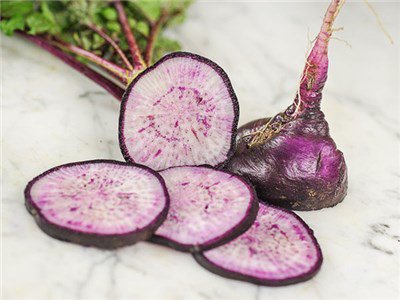 แรดิชมาลากาสีม่วง - Malaga Violet Radish