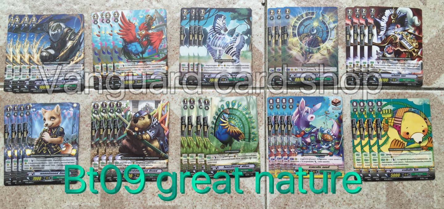 BT09 เกรทเนเจอร์ อย่างละ 4 ใบ