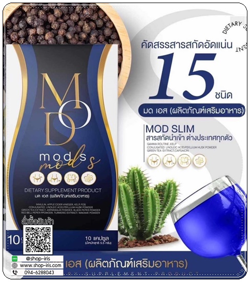 มดเอส Mod S