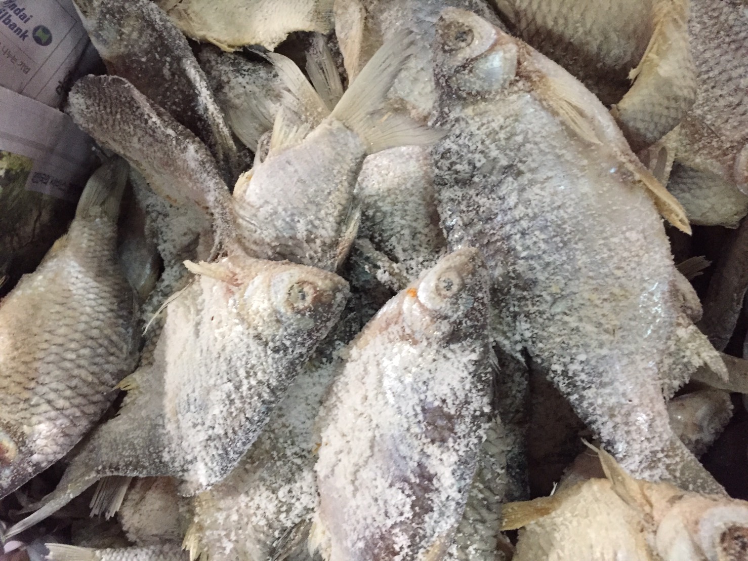 ปลาหมักเกลือ ปลาเน่า น้ำหนัก 500 กรัม ပႃႇၸႃႇ - ပႃႇၸႃႇၶမ်းၵႅတ်းသေ ปลาหมักสูตรไทยใหญ่ Fermented Fish - Burmese Style Pickled Fish ปลาเน่า ปลาเน่าเกเซ นำไปประกอบอาหารได้หลากหลายชนิด รับประกันความอร่อย