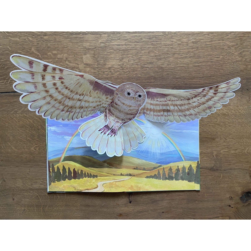 นกฮูกที่ไม่เคยบิน (ปกแข็ง) 3-5 ปี