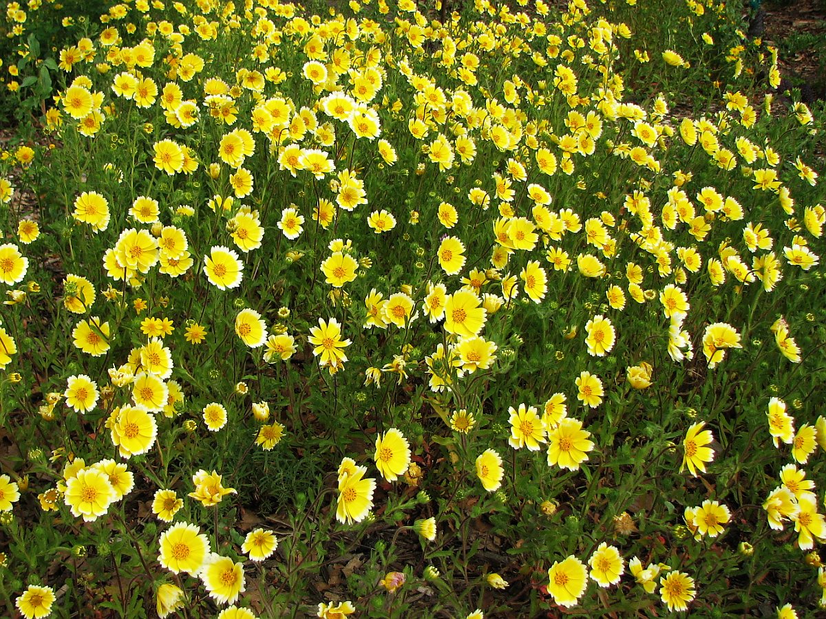 ไทดี้ทิป - Tidy Tip