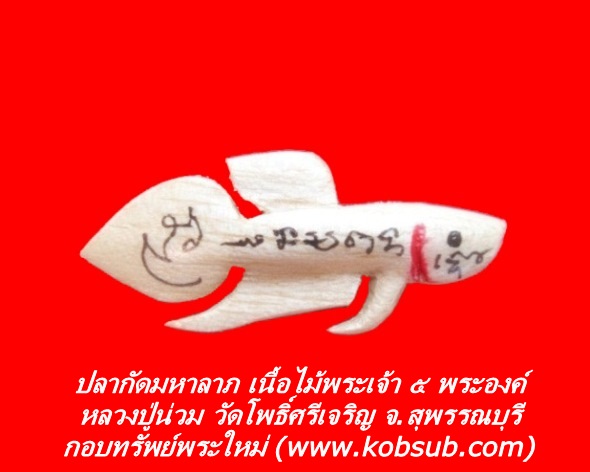 ปลากัดมหาลาภ เนื้อไม้พระเจ้า ๕ พระองค์ หลวงปู่น่วม วัดโพธิ์ศรีเจริญ