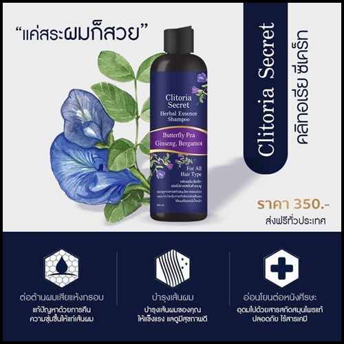 แชมพูคลิทอเรีย ซีเครท Clitoria Secret แพคเกจใหม่ (1 แถม 1)