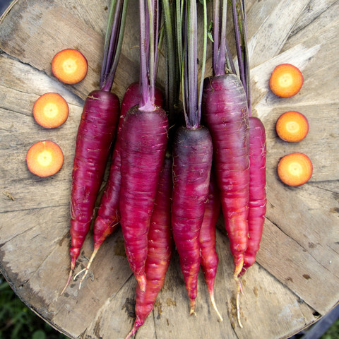 แครอทสีม่วง - Cosmic Purple Carrot