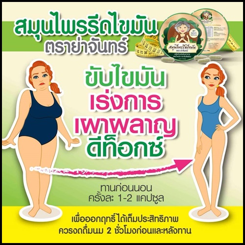 สมุนไพรรีดไขมัน ย่าจันทร์ แพคเกจใหม่