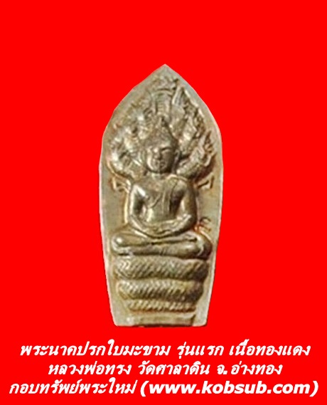 พระนาคปรกใบมะขาม รุ่นแรก เนื้อทองแดง หลวงพ่อทรง วัดศาลาดิน
