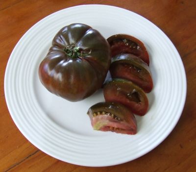 มะเขือเทศรัสเซียสีดำ - Black Russian Tomato