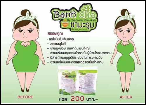 บ้านชามะรุม Bann Cha สมุนไพรลดน้ำหนัก