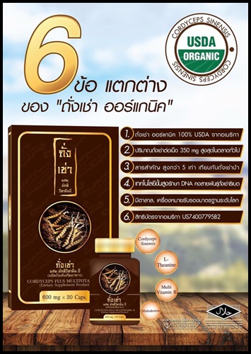 ถั่งเช่า ผสมมัลติวิตามิน บี Cordyceps Plus Multi Vitamin B