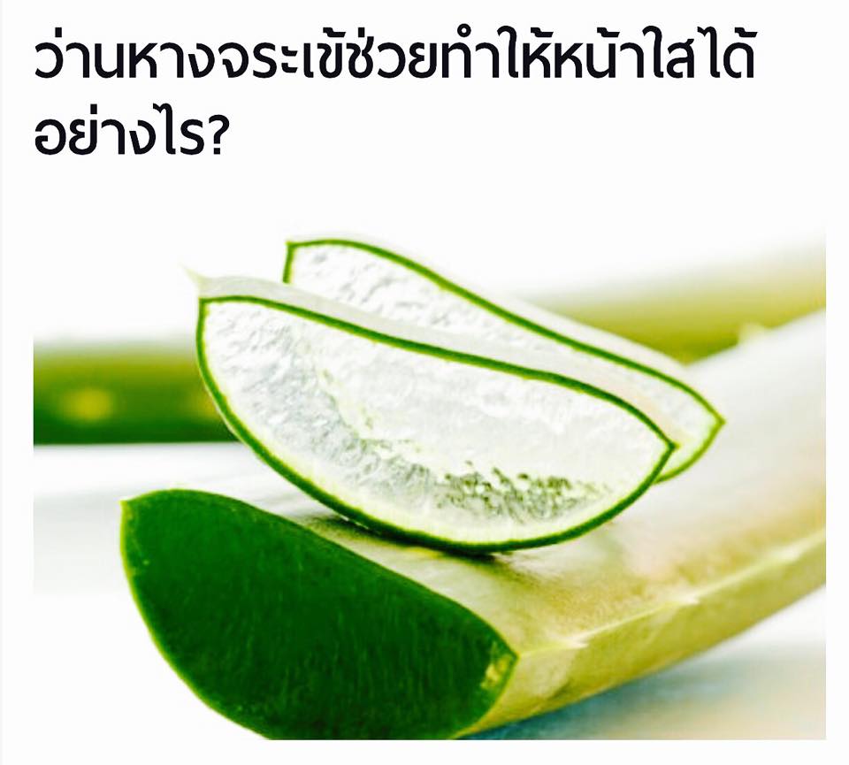 มาส์กว่านตาลเดี่ยว Aloe Vera and Star Grass Sleeping Mask