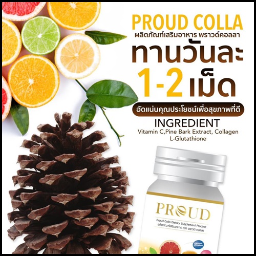 พราวด์ คอลลา Proud Colla