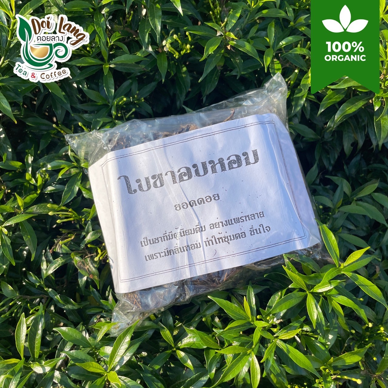 ใบชาอบหอม ใบชาอัสสัม ขนาด 100 กรัม ชาป่า ชาแห้ง ลดความดันโลหิตสูง ทำให้กระปรี้กระเปร่า ต่อต้านอนุมูลอิสระ ป้องกันฟันผุ ผ่อนคลายระบบประสาท