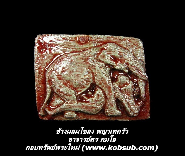 ช้างผสมโขลง พญาเทครัว อาจารย์ศร กมโล