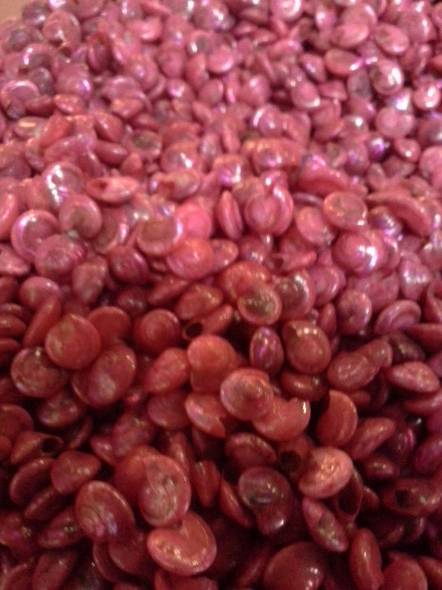 หอยทับทิมย้อมสีส้มชั่งกิโล