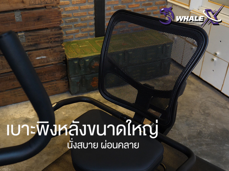 จักรยานออกกำลังกายเอนปั่น รุ่น WHALE-XR