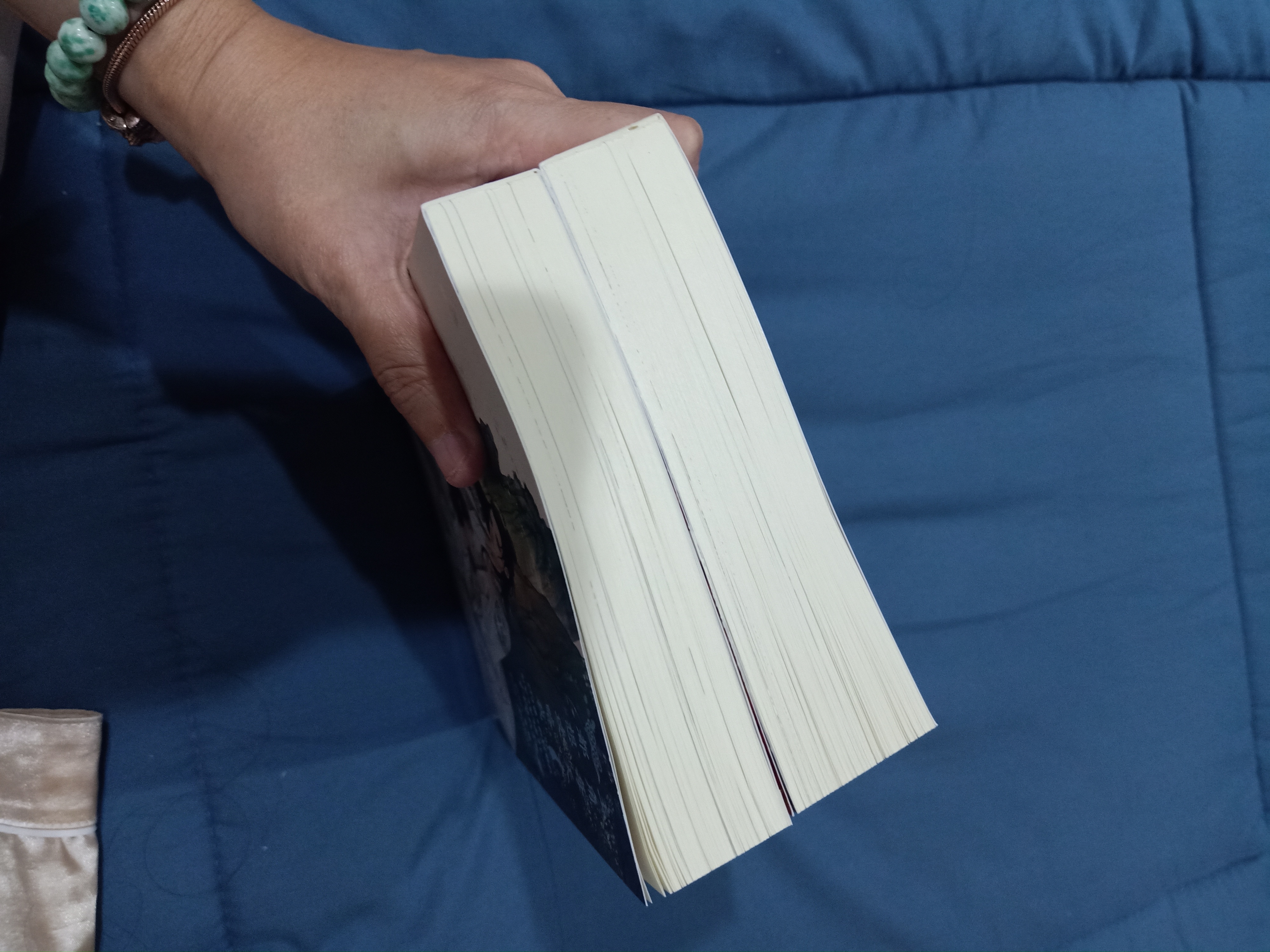 Boxset นิยายแปล ตัวละครเอกพยายามจะข้าทุกวัน รอบจอง