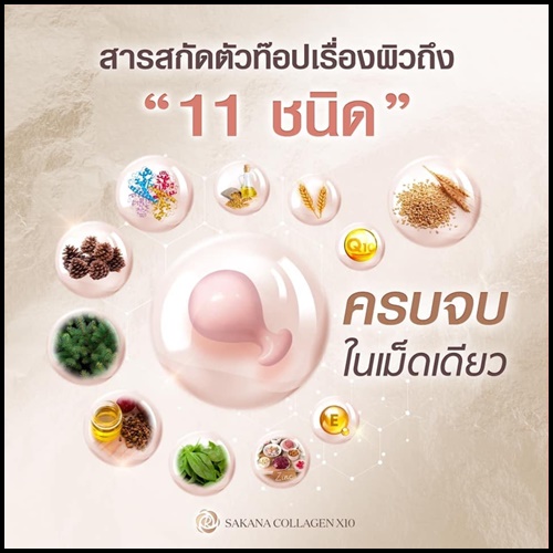 ซาคานะ คอลลาเจน Sakana collagen x10 by Rose Gold (ของแท้ ส่งฟรี)