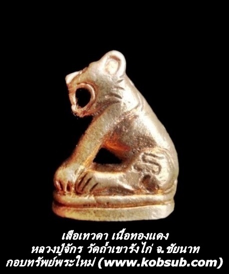 เสือเทวดา เนื้อทองแดง หลวงปู่จักร วัดถ้ำเขารังไก่