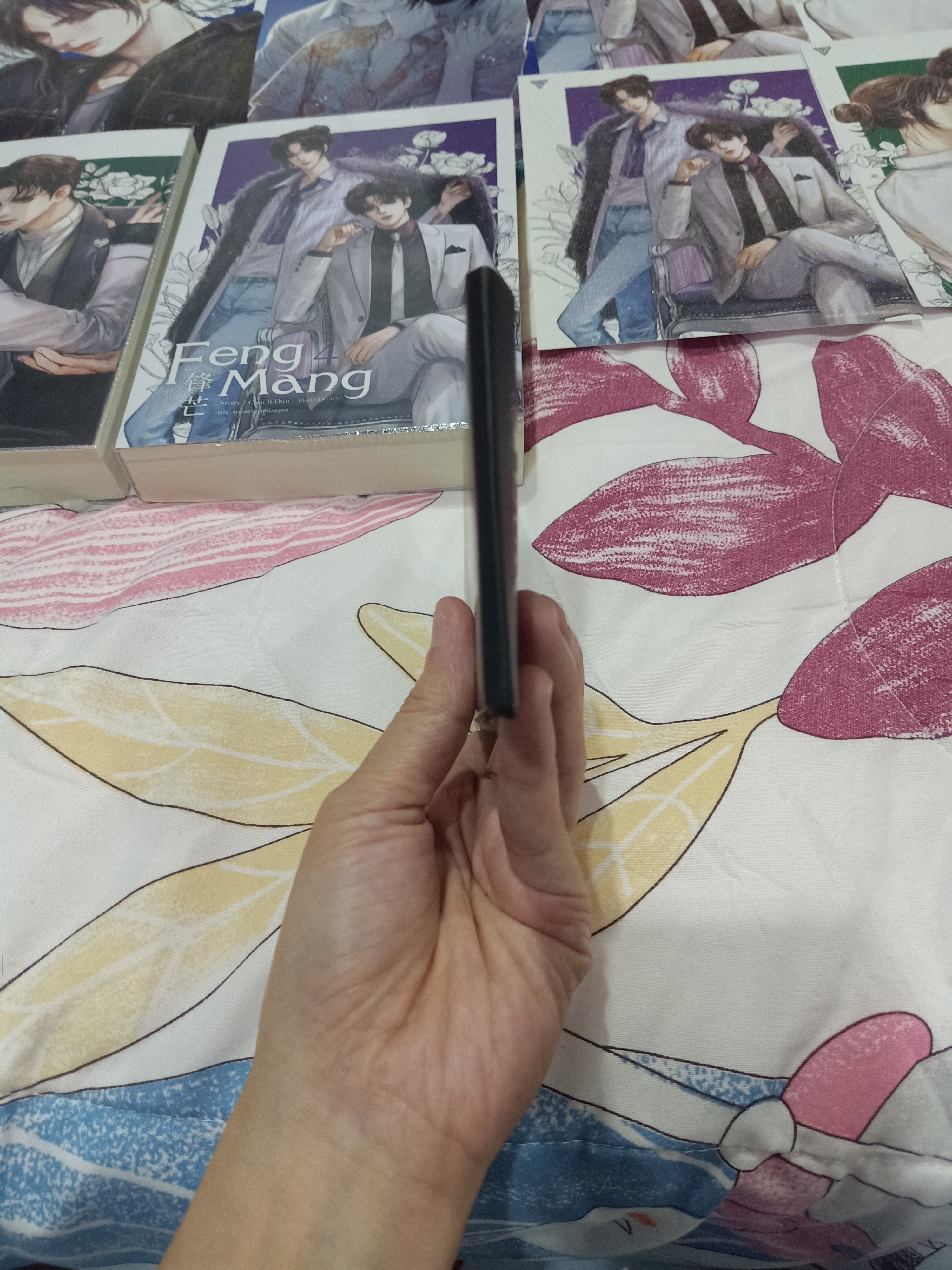 Boxset นิยายแปล Feng Mang รอบจอง