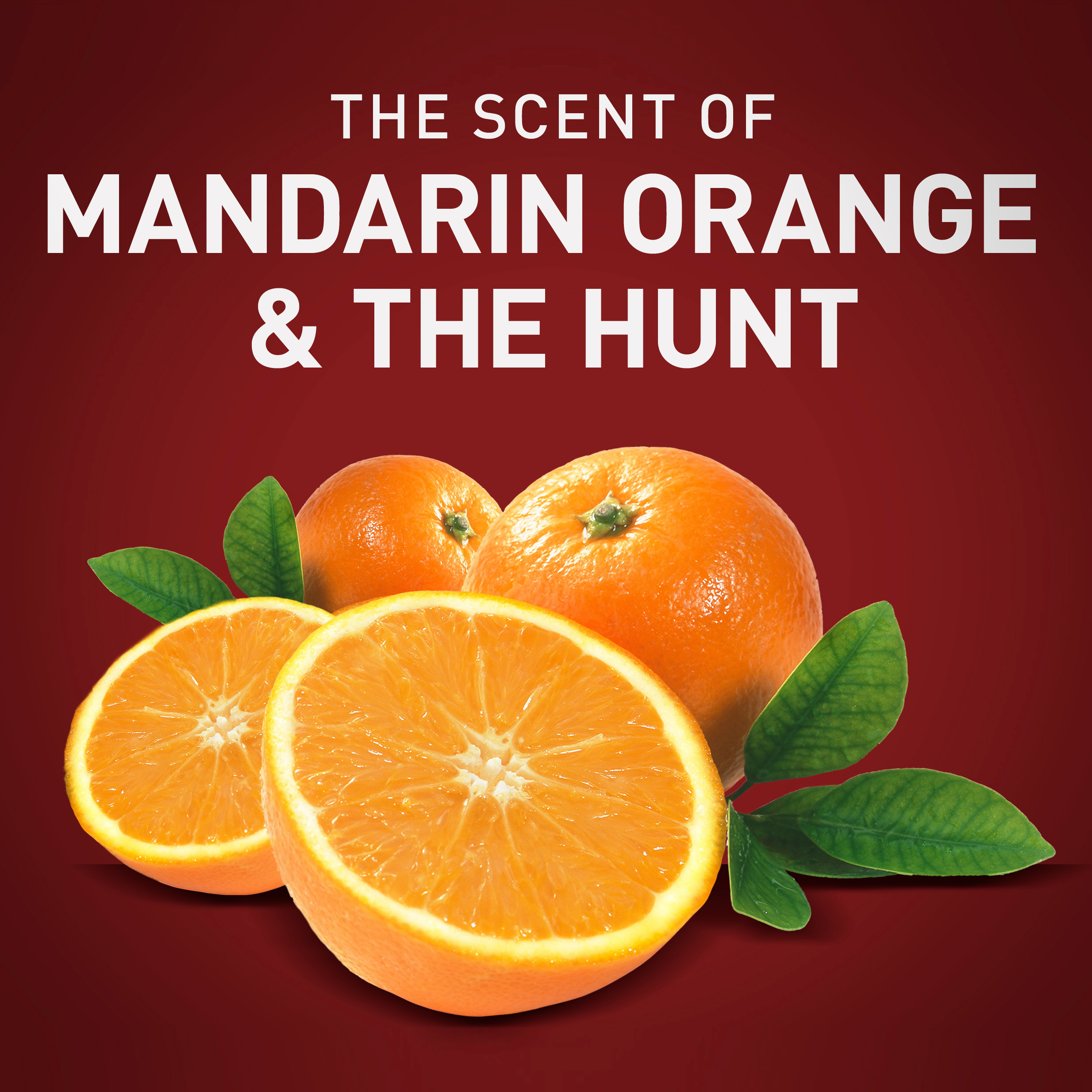 เซ็ทเจลอาบน้ำ สระผม Old Spice Wolfthorn 3 Piece Mens Gift Set, Shower Gel and Deodorant Spray ราคา 790 บาท รวมส่ง