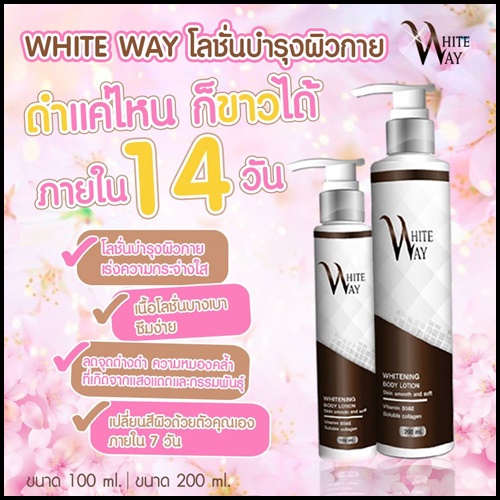 โลชั่นไวท์เวย์ WhiteWay Boby Lotion