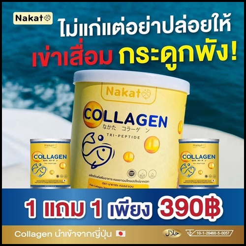 คอลลาเจนเพียว Nakata Collagen นาคาตะคอลลาเจน ( 1แถม1 )
