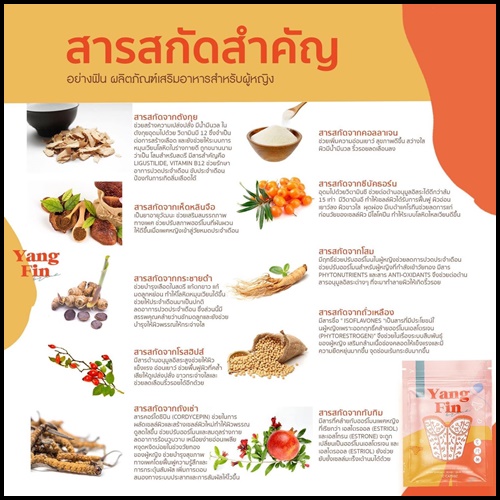 อย่างฟิน Yang fin อาหารเสริมสำหรับผู้หญิง